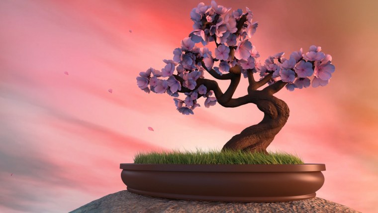 Японский бонсай