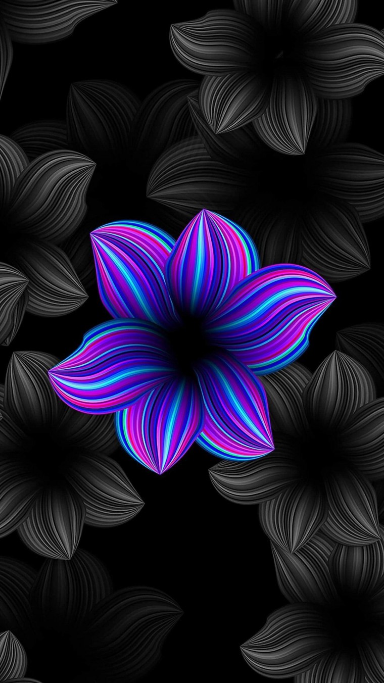 Яркие цветы на черном