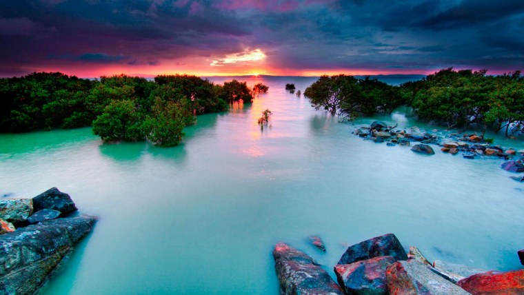 Природа море