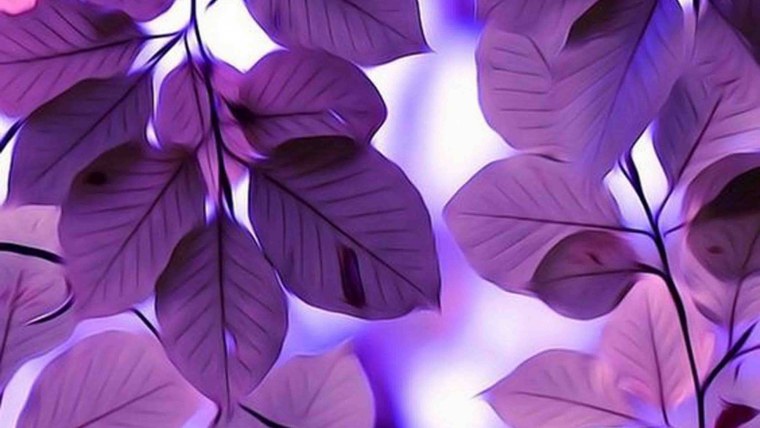 Эстетика фиолетового цвета