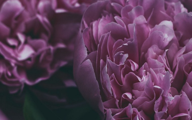 Фиолетовая вода