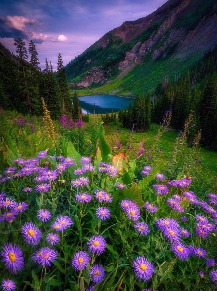 Прекрасный мир природы