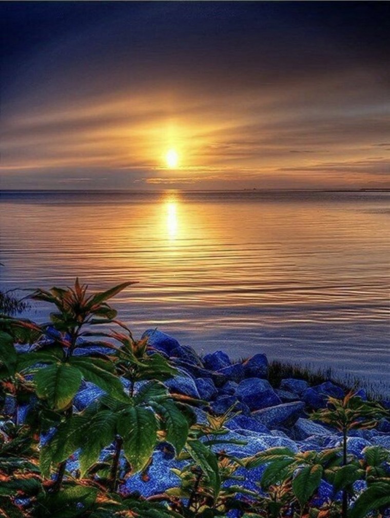 Картинки на аву природа