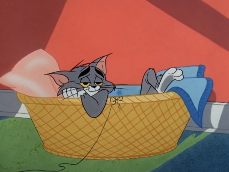 Кот том в пиджаке