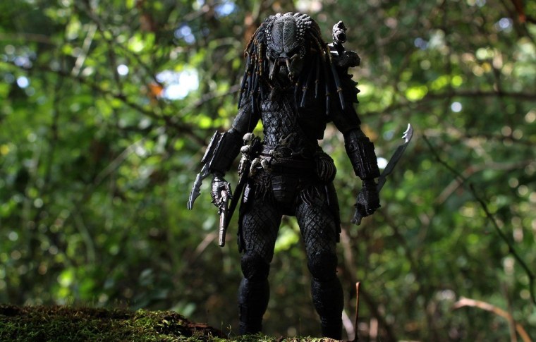 Хищник предатор