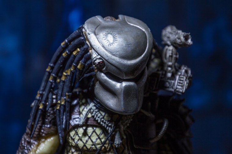 Хищник предатор