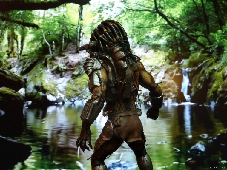 Хищник предатор