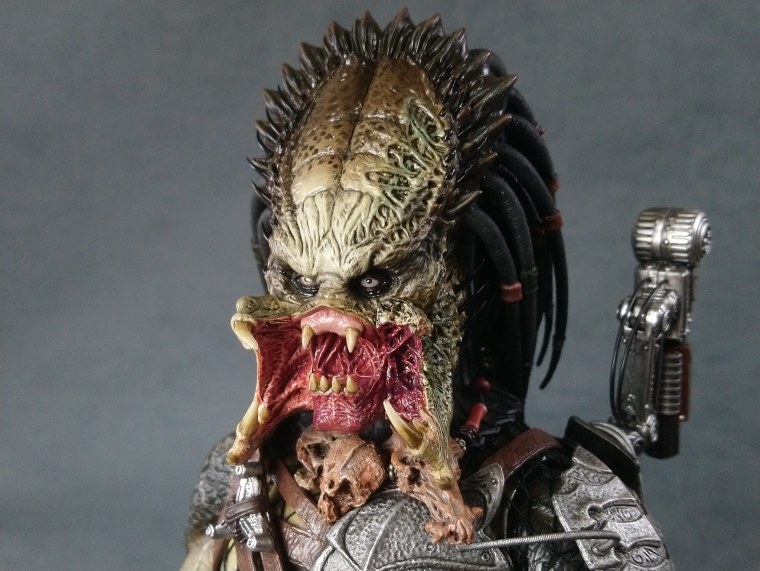 Хищник волк Яутжа