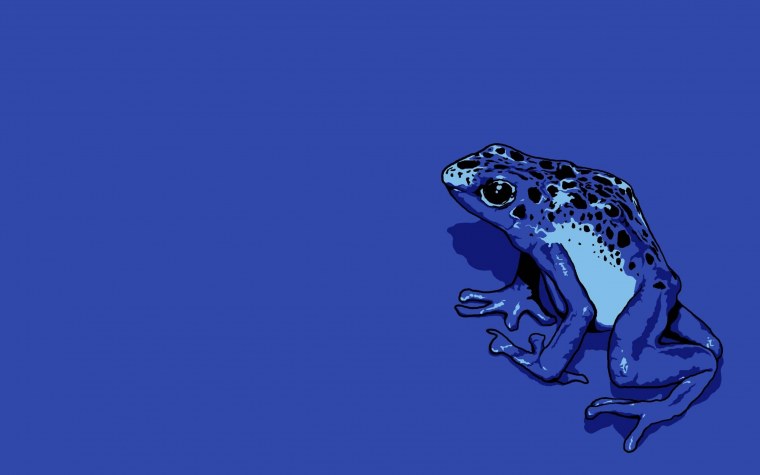 Лягушка на Радужном фоне