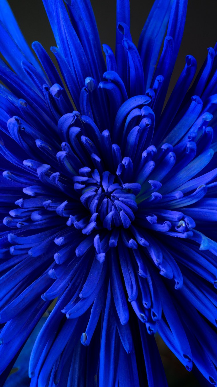 Samsung Galaxy s7 Edge Wallpapers