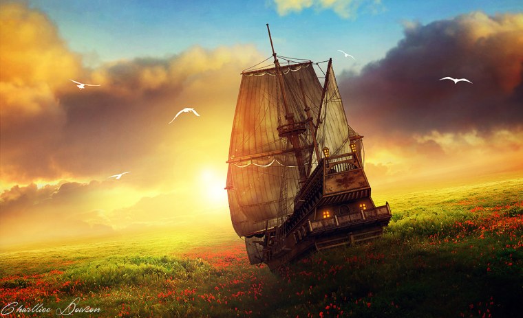 Корабль в поле