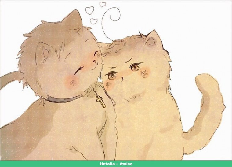 Объятия кошек