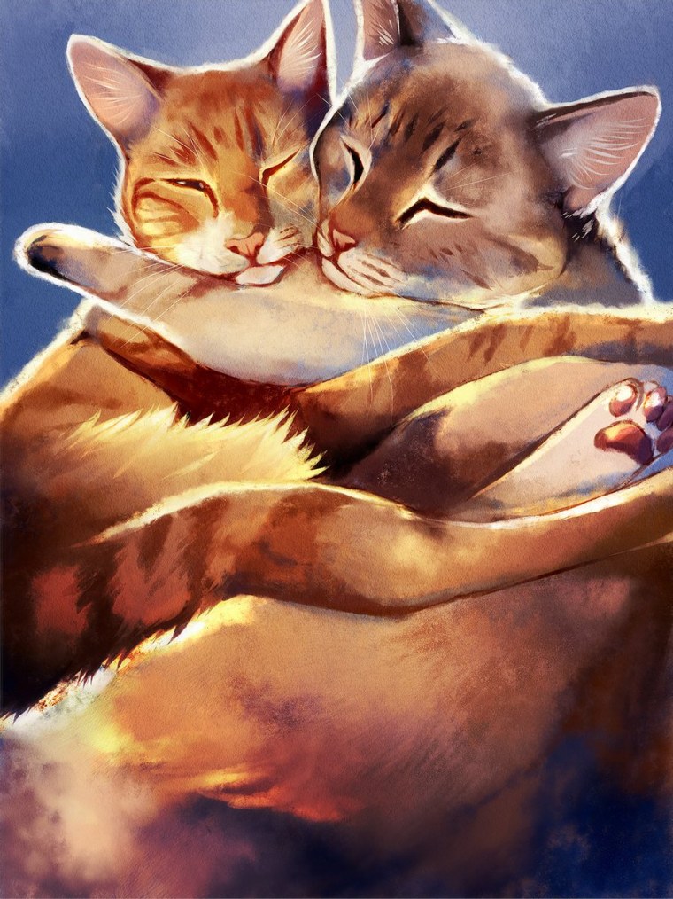 Влюбленные кот и кошка