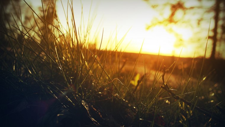 Горы и звезды