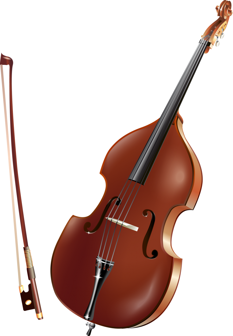 Скрипка, челло, контрабас, бас