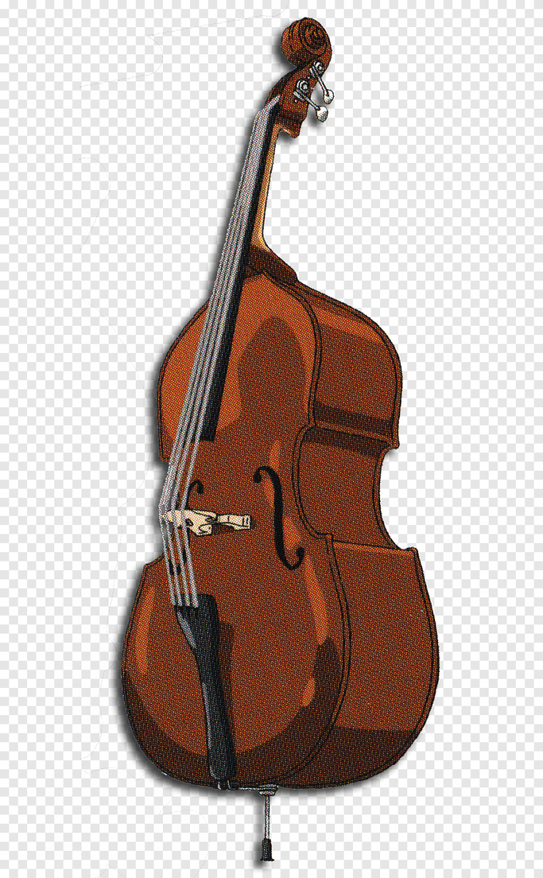 Контрабас Пиццикато