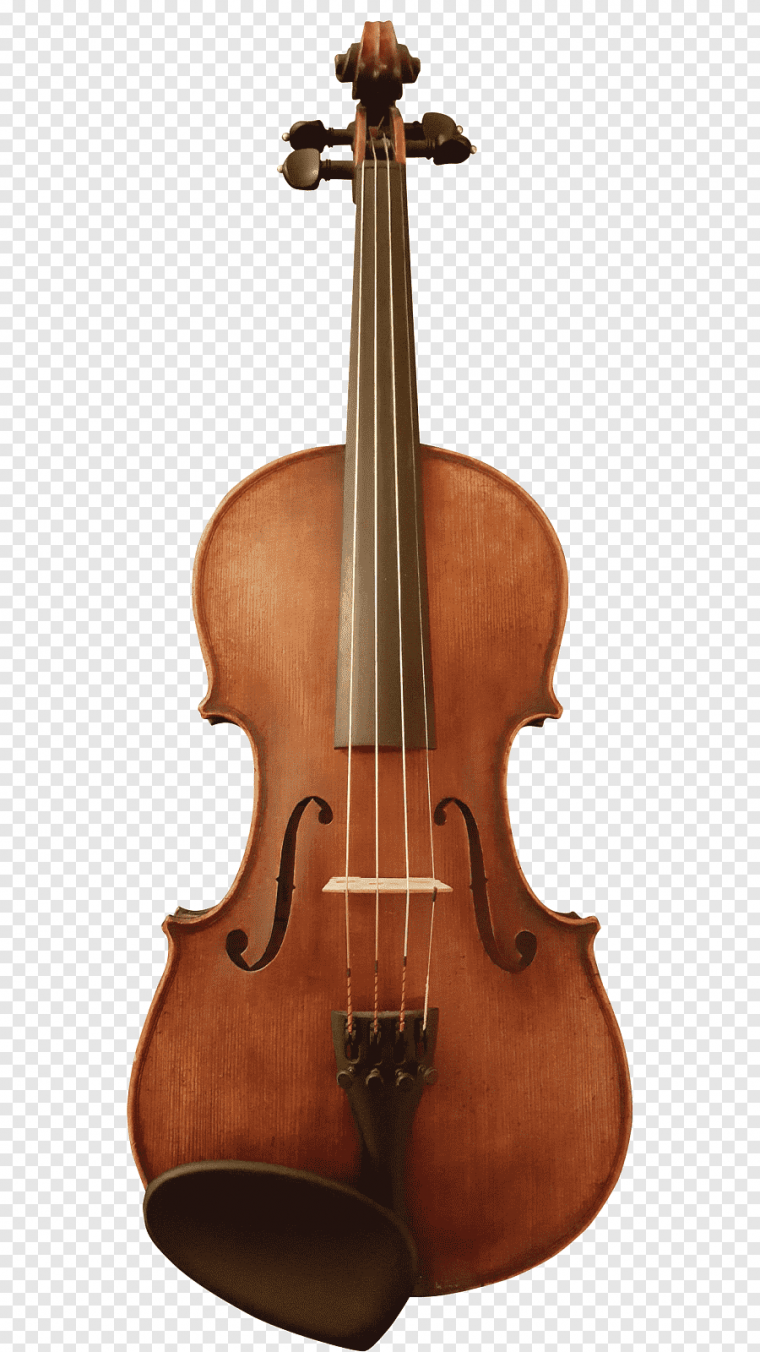 Струнно смычковые инструменты контрабас