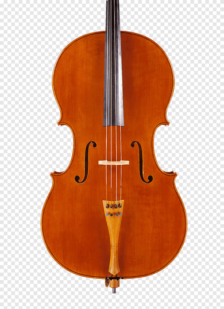 Контрабас для детей