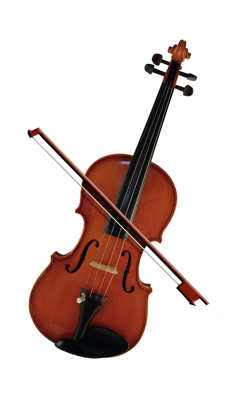 Контрабас на белом фоне