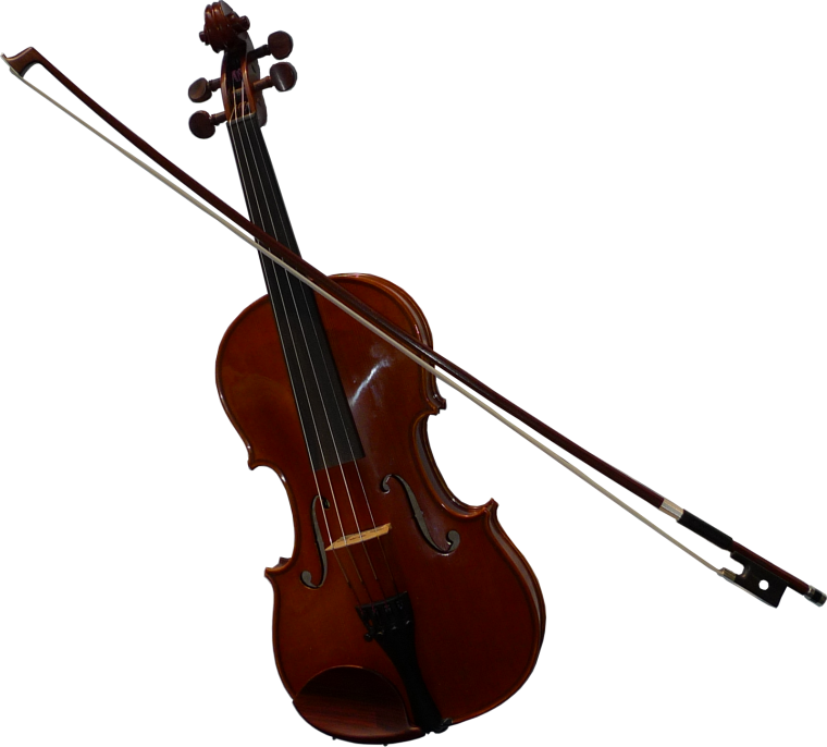 Струнно-смычковые музыкальные инструменты вектор