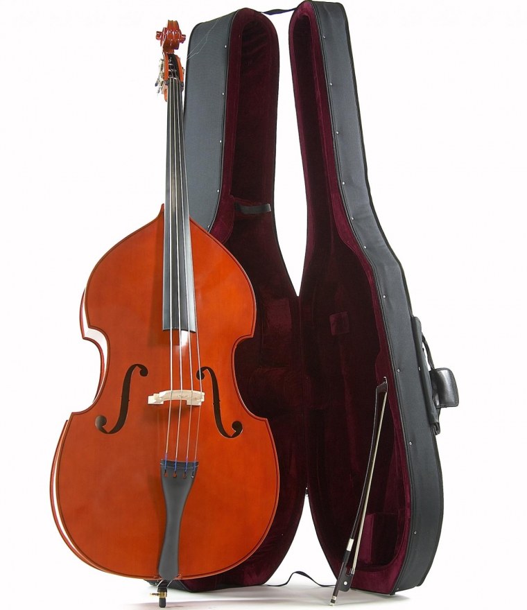 Контрабас на прозрачном фоне