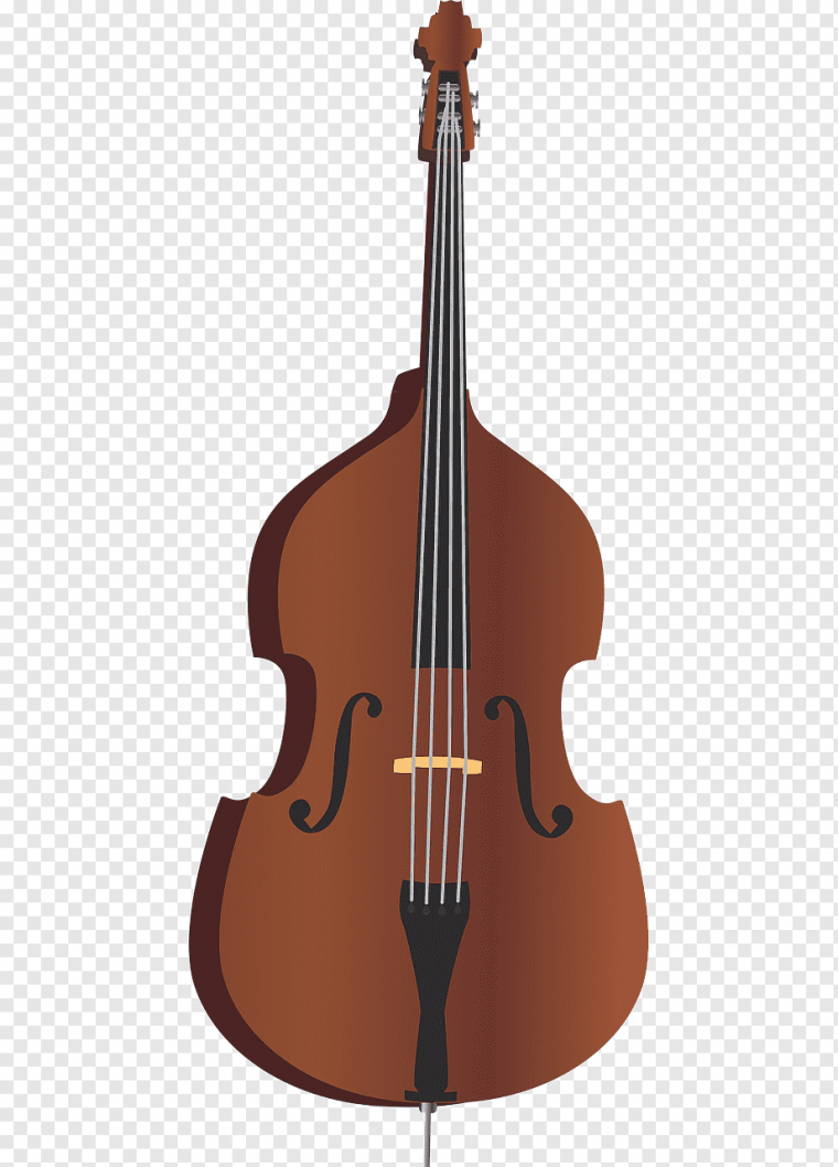 Бас музыкальный инструмент