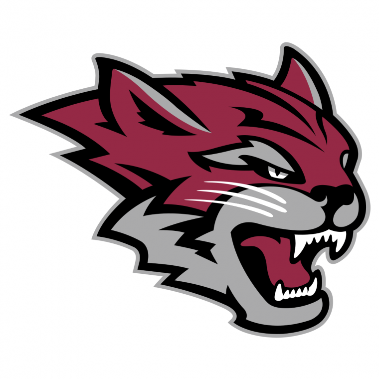 Красивые эмблемы для команд