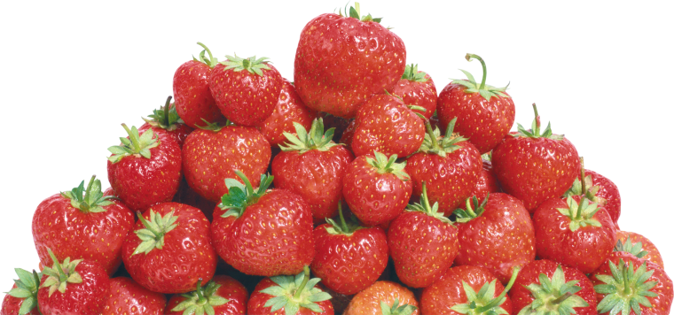 Земляника на прозрачном фоне