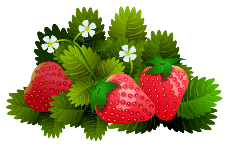 Клубника на белом фоне