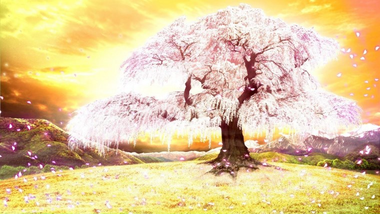 Дерево на фоне заката арт