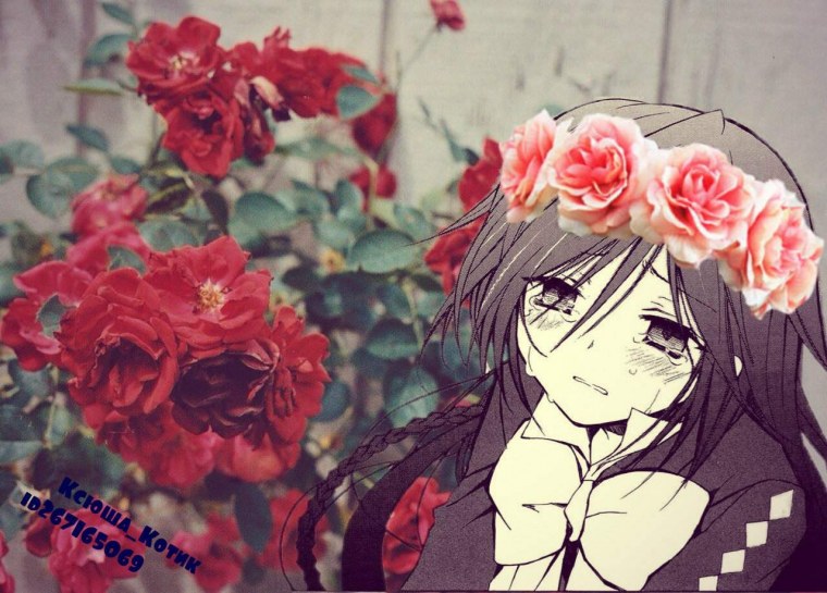 Сердцу хочется кричать Нарусэ