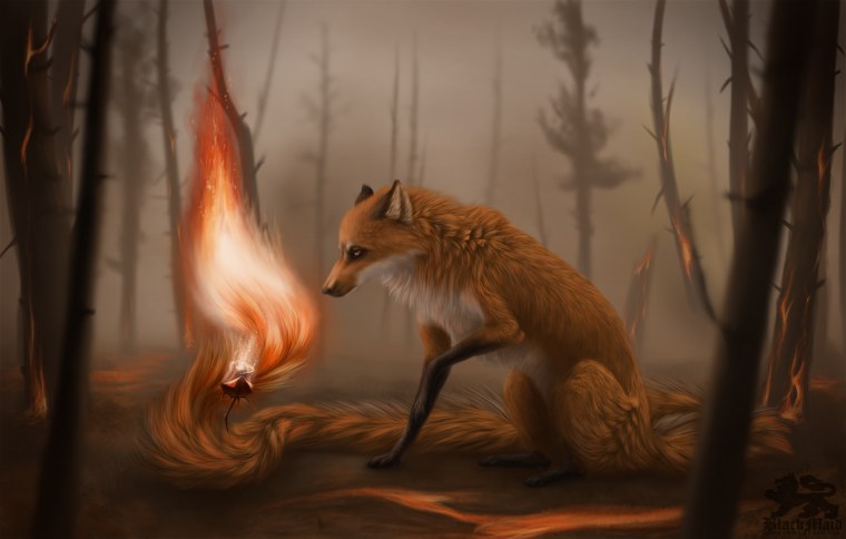 Лисий огонь аниме