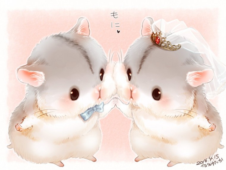 Два влюбленных хомяка рисунок