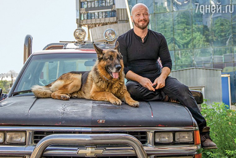 Никита Панфилов в сериале пес