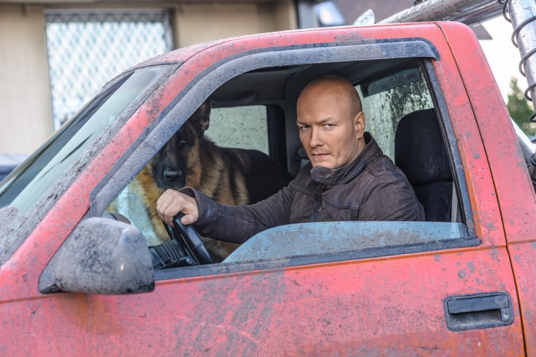 Сериал пёс Никита Понфилов