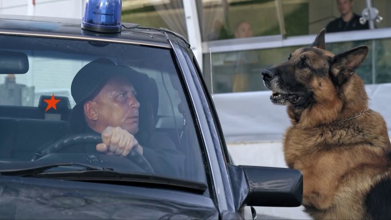 Пёс сериал пёс 5 сериал