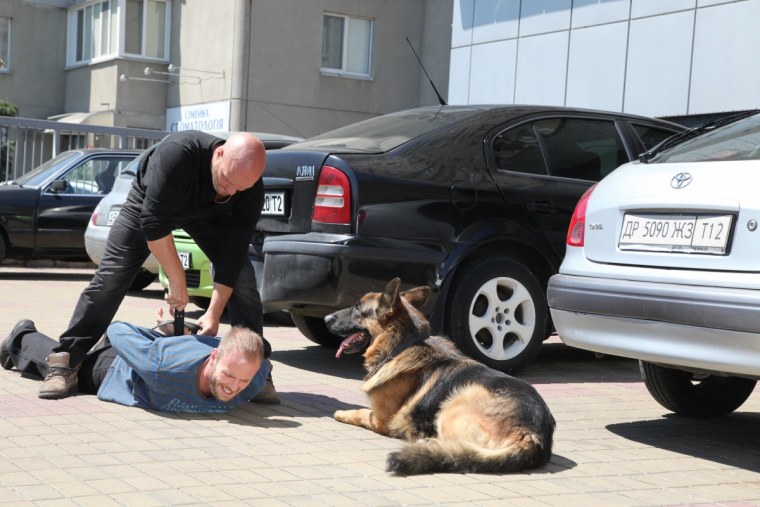 Пес сериал пес