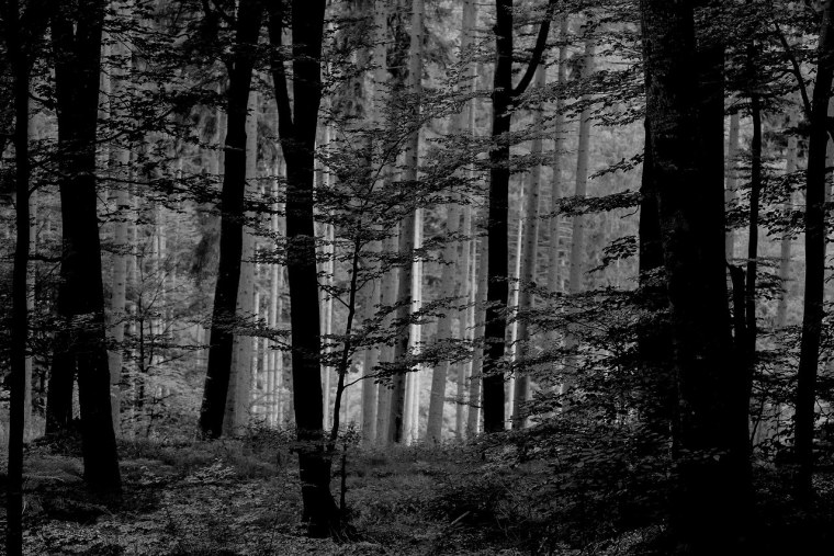 Пейзаж для двойной экспозиции