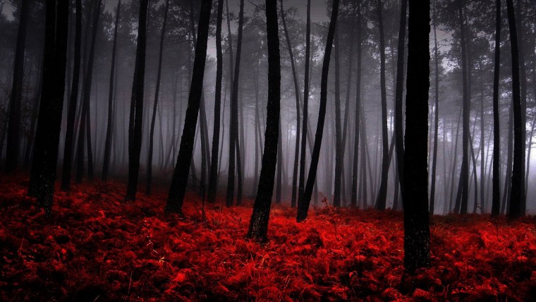 Темная Эстетика