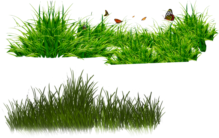 Зелень на белом фоне