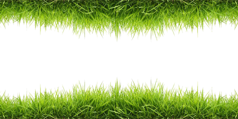 Трава Грасс Лонг куст