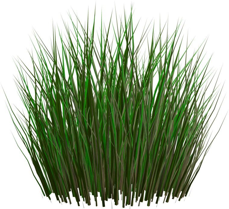 Полоска из травы