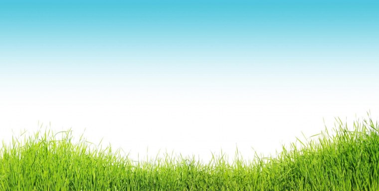 Зеленая трава