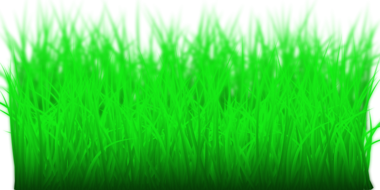 Желтая трава без фона