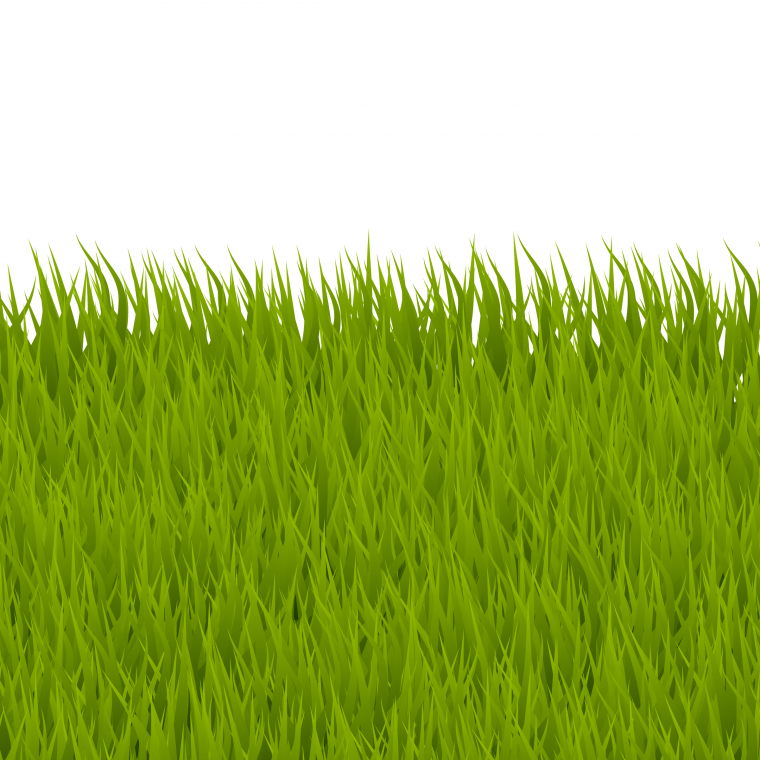 Зеленая трава на прозрачном фоне