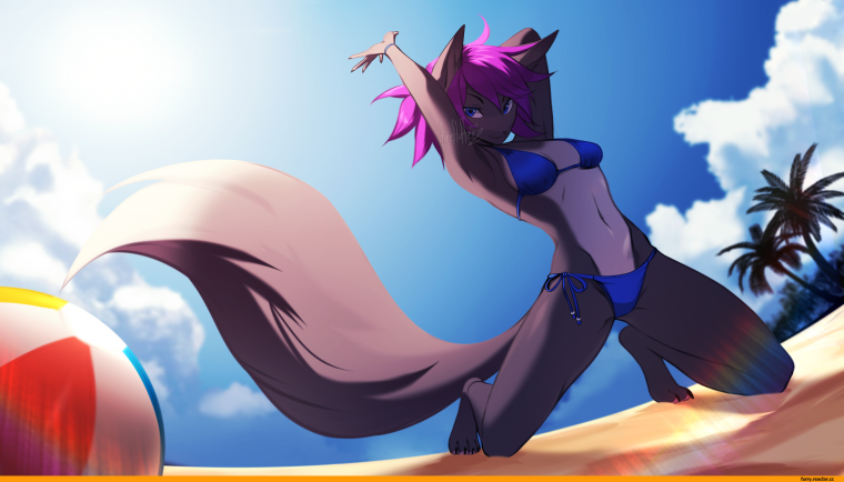 Фурри на пляже