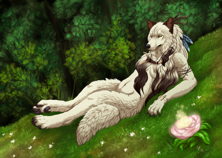 Фурри волчица