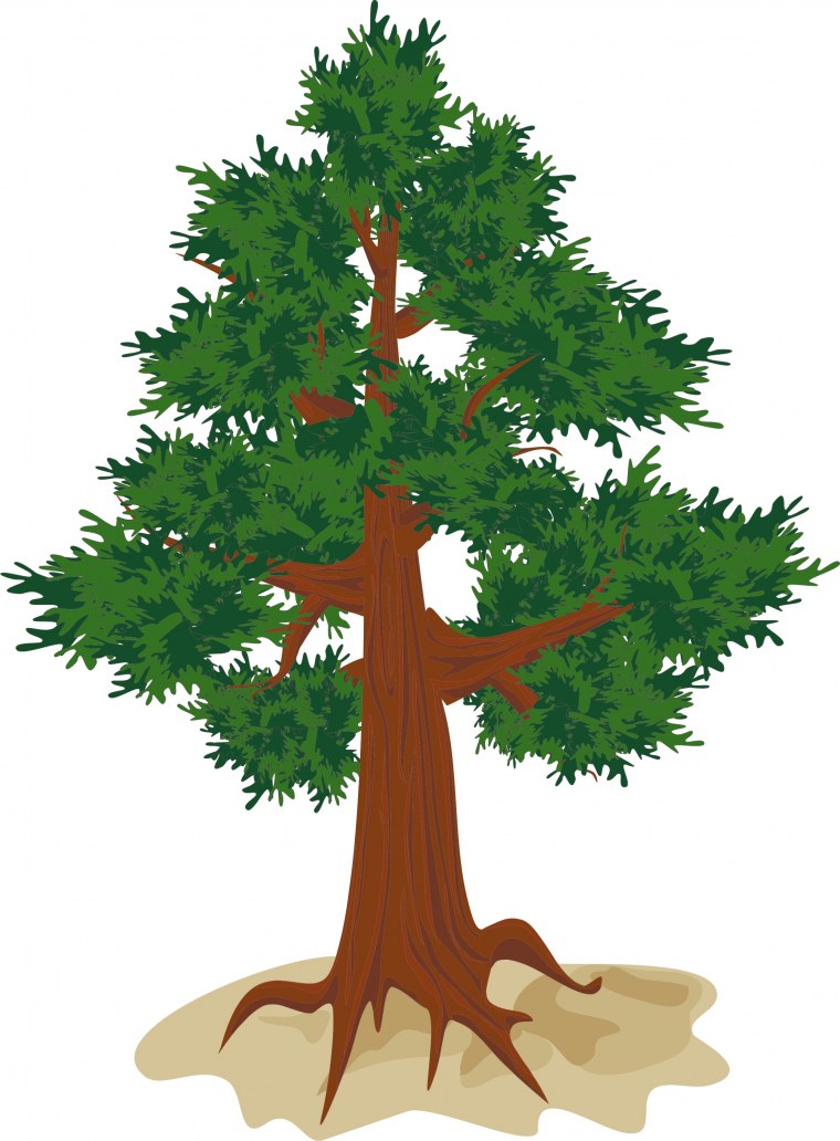 Дерево для детей