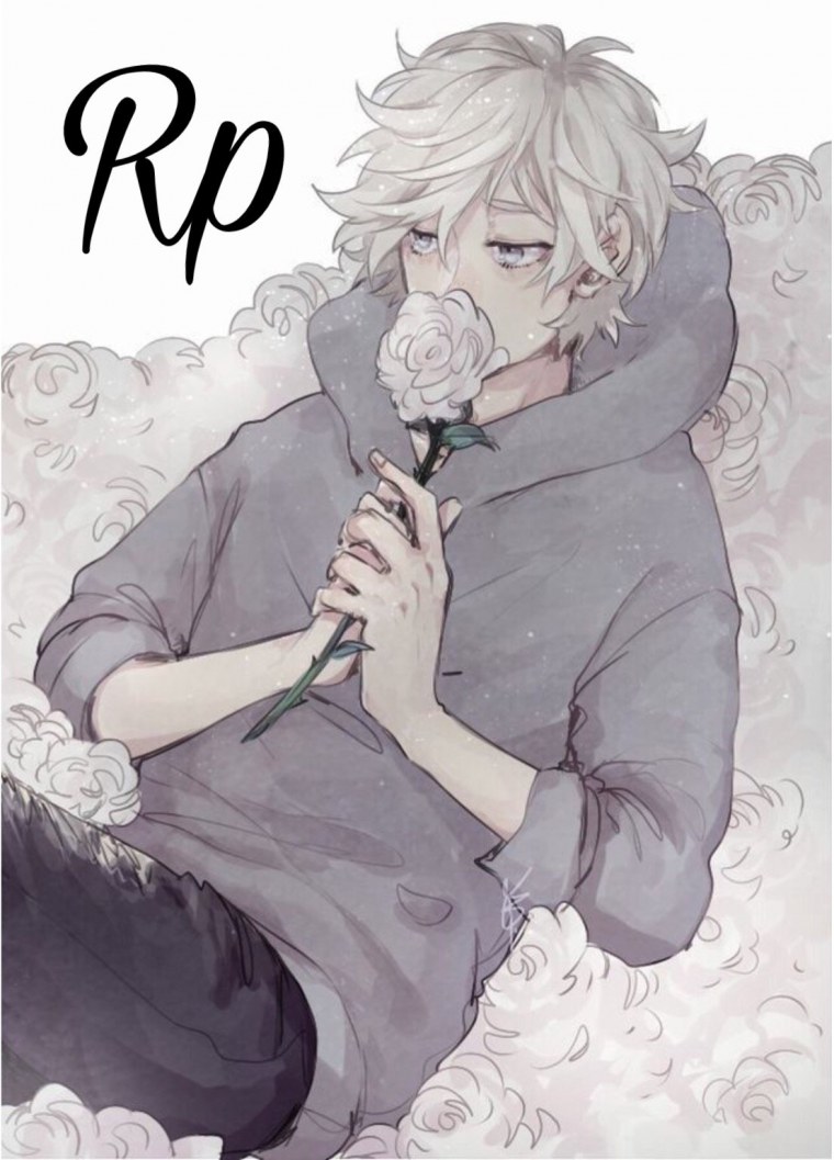 Красивые куны