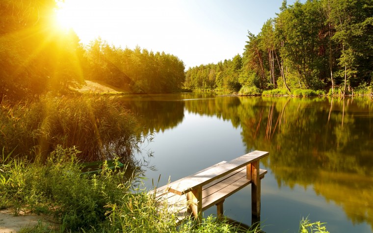 Утро лес озеро